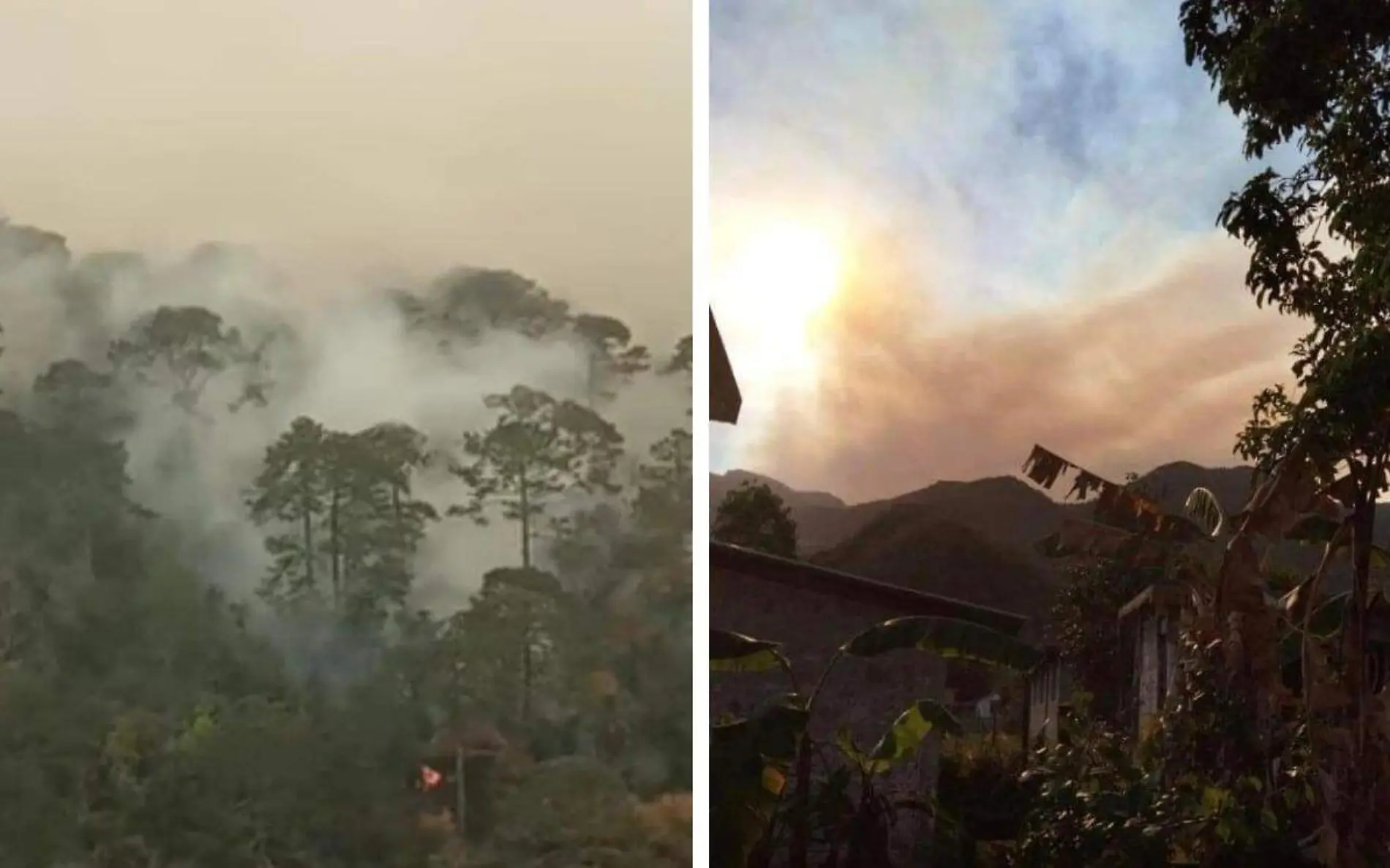 Incendio en biósfera El Cielo